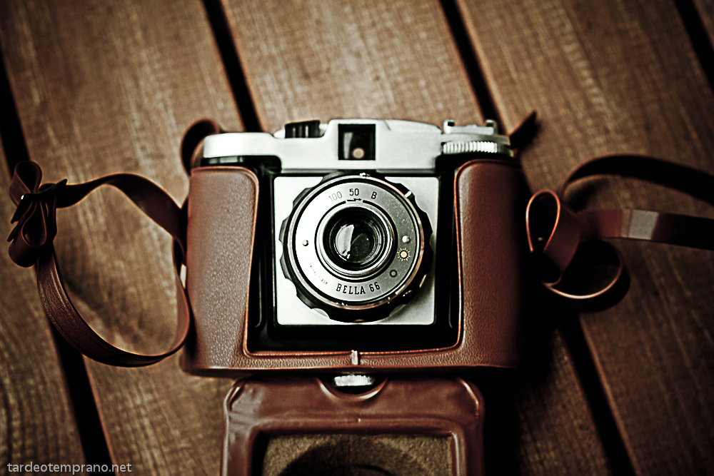 New feature  of The Week – Updated photographs appear on your public homepage!