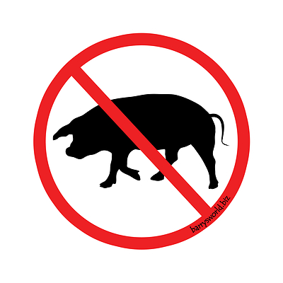 Dvar Torah on Parashas Metzora: Diseases, Pigs and Reincarnation by Rabbi Elchanan Shoff