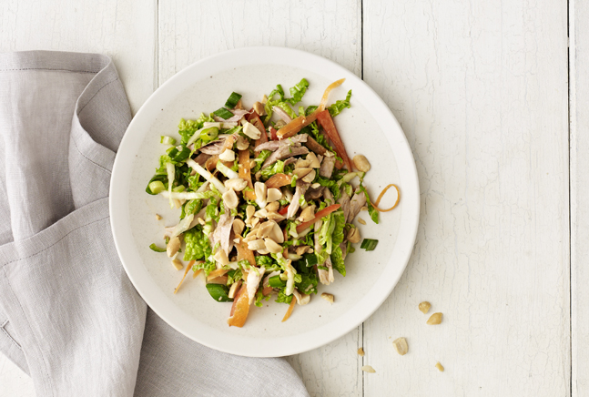 The Joy of Kosher Thai Chicken Salad by Jamie Geller