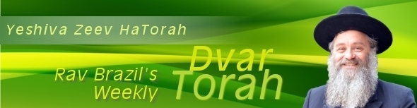 RAV BRAZIL – PARSHAS PINCHUS תשע”ד  RECOUPING THE LOSSES