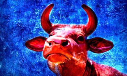 To Meat or To Meet, Which is Your Preference? by Rav Brazil | Parshas Noach