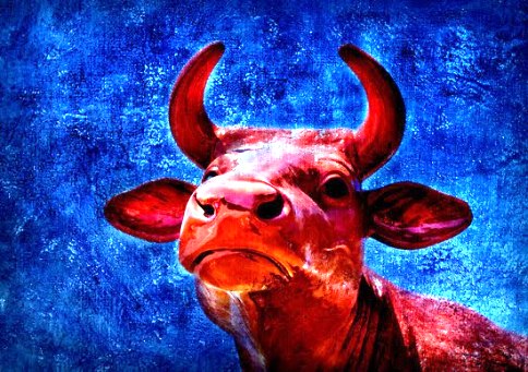 To Meat or To Meet, Which is Your Preference? by Rav Brazil | Parshas Noach