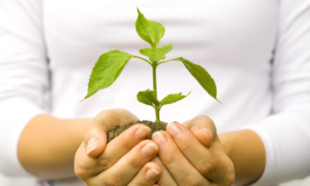 SERVING BUDDING & BLOSSOMING EXPERIENCES BY RAV BRAZIL | PARSHA KORACH