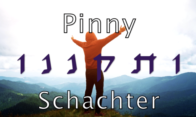 VIDEO: “Visakneinu” – Official Video – Pinny Schachter – Composed by Benzion Klatzko – Violin Maestro