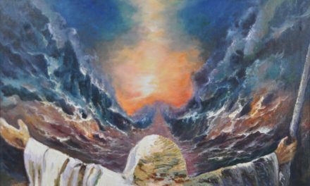Why Not Eleven Makkos by Rav Brazil | Parshas Beshalach