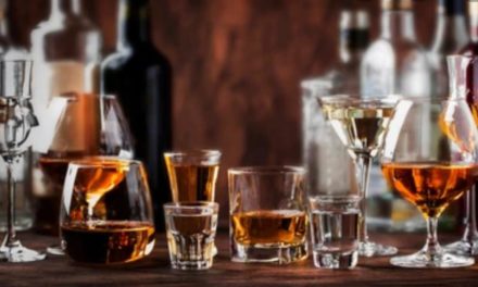 The Art of Drinking Responsibly, You and Your Children by Rav Brazil | Parshas Shemini