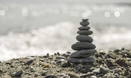 Your Tiny Stones And The Bringing Of The Final Geulah by Rav Brazil | Parshas Shelach