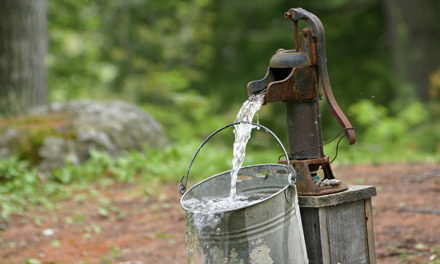 The Three Wells and the Days Needed for Reframing by Rav Brazil | Parshas Toldos