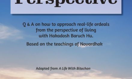 The Bitachon Perspective | Issue 37 | Rabbi Yedidya Klatzko