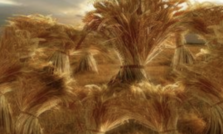 Yosef Interprets Dreams Like No One Else by Rav Brazil | Parshas Miketz