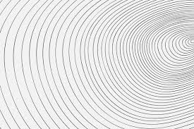 Lives of Circles and Lines by Rabbi Brazil | Parshas Ki Lisa